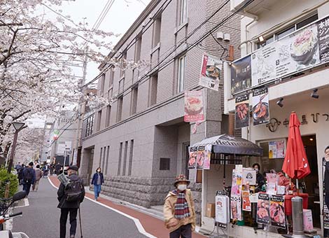 普段はゆったりとした目黒川沿いもたくさんの人で賑わっています。