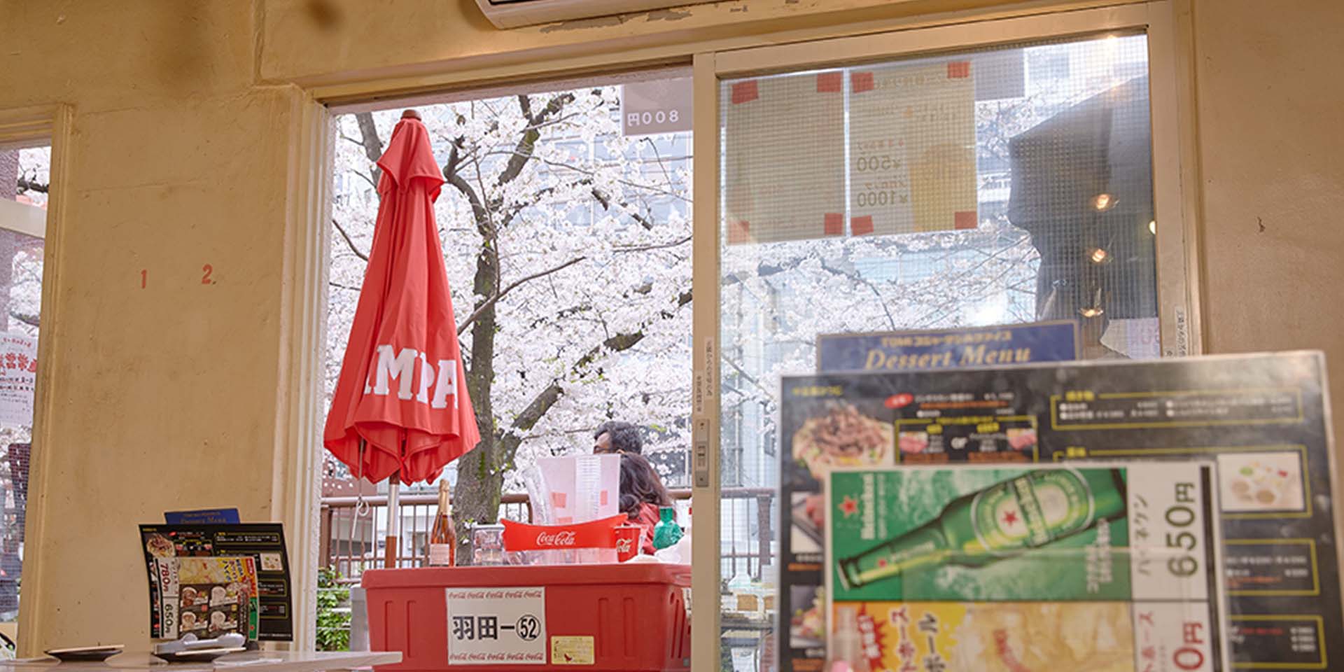 店内から見える桜